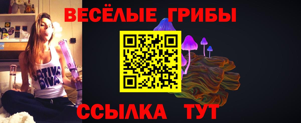 Алексин  Псилоцибиновые грибы прущие грибы  Вход с VPN  Галлюциногенные грибы GOLDEN TEACHER 